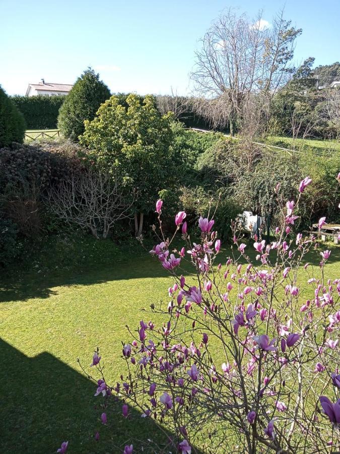 Hostal San Cristobal - Pontedeume Εξωτερικό φωτογραφία