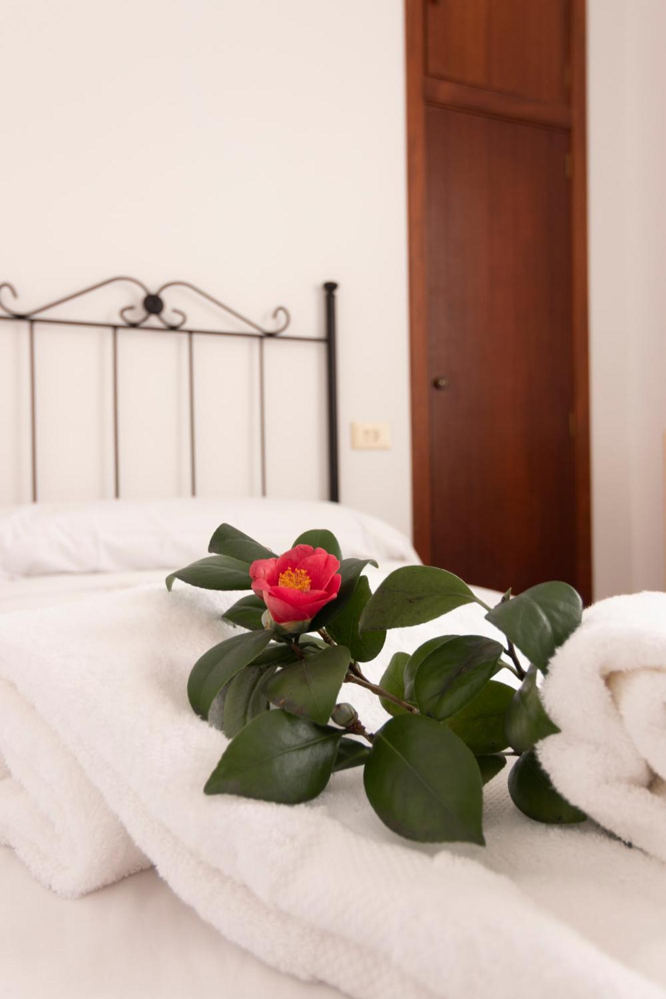 Hostal San Cristobal - Pontedeume Εξωτερικό φωτογραφία